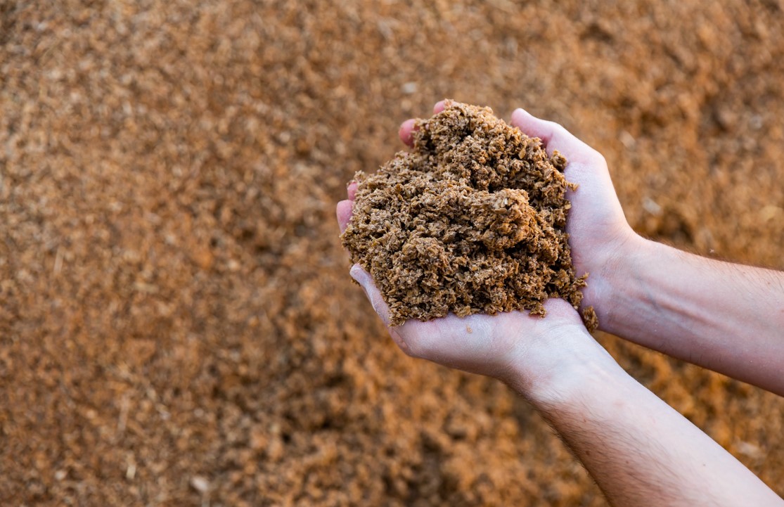 a pile of brewers' spent grain, organic material left after grain is used for brewing process.
