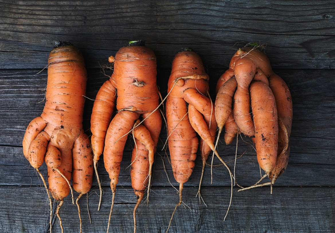 misshapen carrots can become food waste